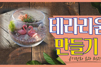 플라밍고 테라리움 만들기 과정 영상