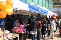 바자회와 작은♥음악회
